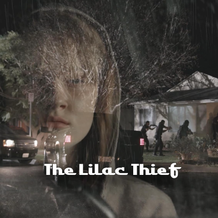 The Lilac Thief